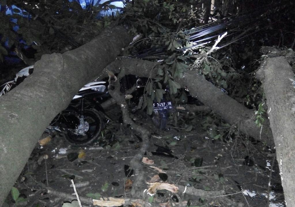 ?Batang pohon tua di depan Balaikota Bogor runtuh menimpa sejumlah kendaraan, Jumat 10 Juni 2016 sekitar pukul 23.15 WIB. Foto: Twitter BPBD Kota Bogor
