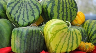 Mengatasi Rasa Haus Saat Puasa