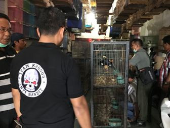 SPORC Gagalkan Perdagangan Ratusan Satwa Liar di Deli Serdang