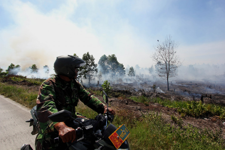Bencana Asap dan Komitmen Indonesia