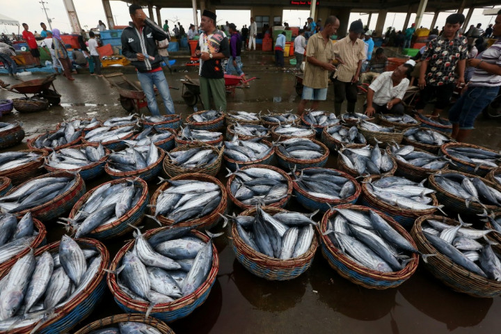Impor Ikan Angkat Pendapatan Sektor Laut & Perikanan Indonesia