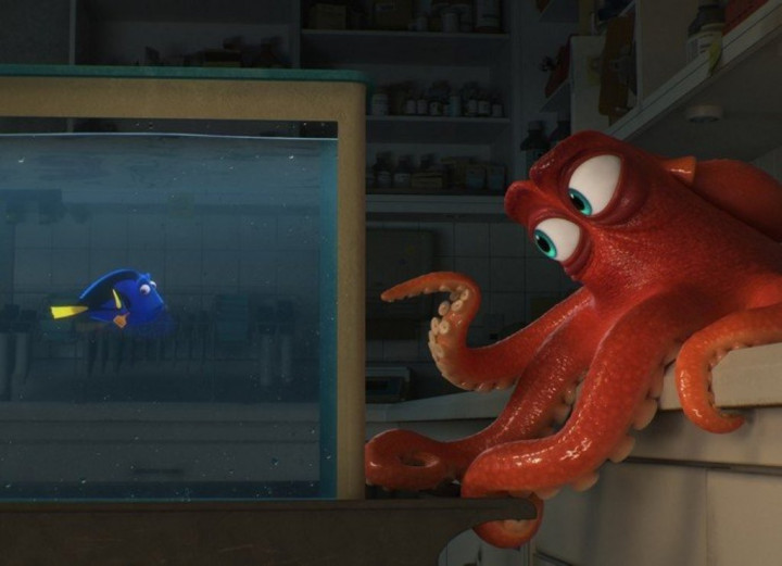 Finding Dory Rajai Box Office