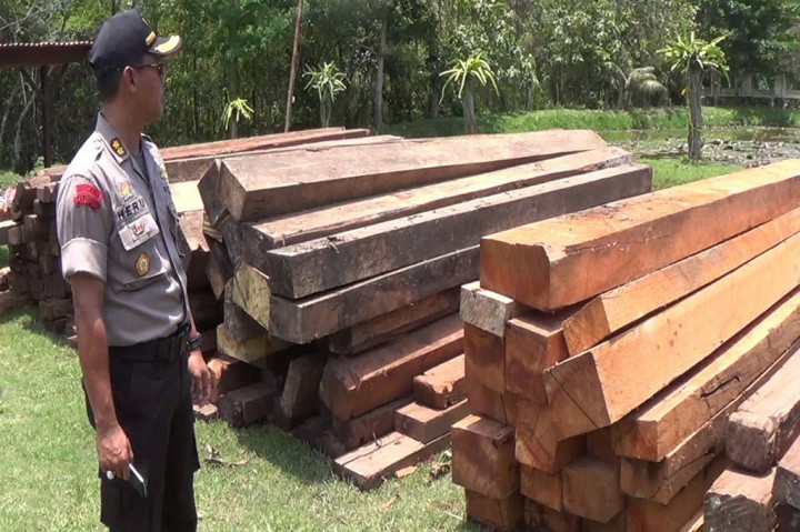 Bea Cukai Kecewa Kapal Tangkapan Bermuatan Kayu Dibebaskan