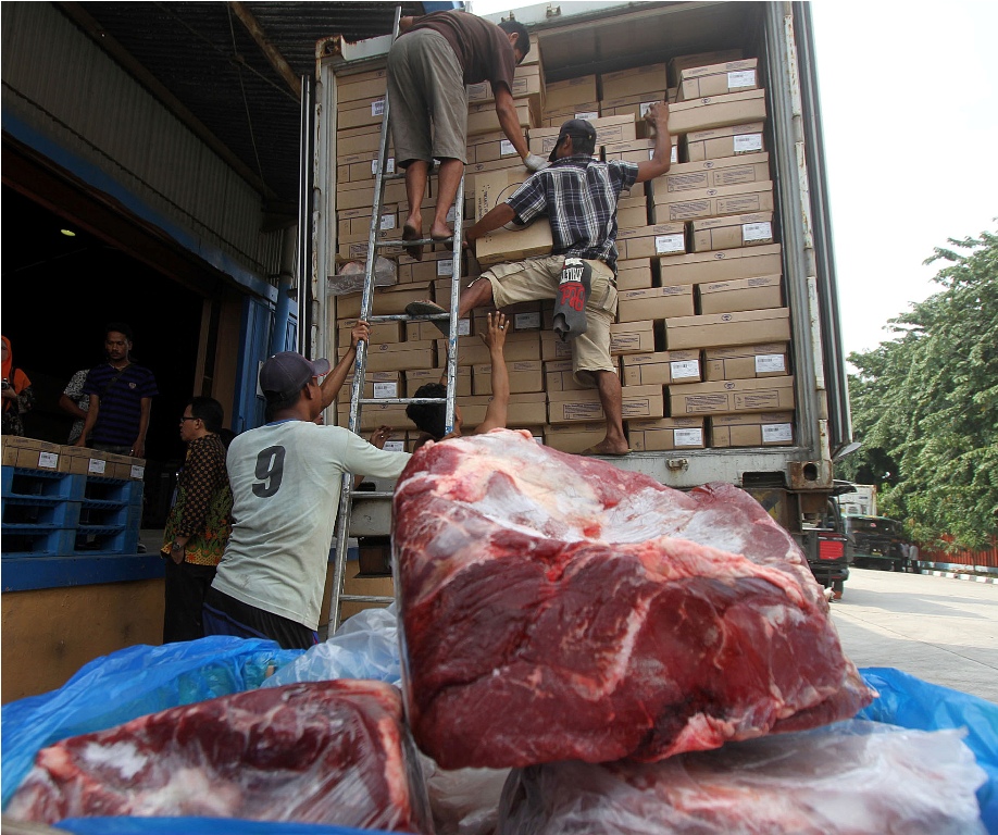 Pekerja memindahkan daging sapi beku asal Australia yang baru tiba di Gudang Bulog (MI/ARYA MANGGALA)