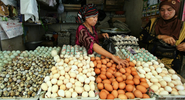 Harga Telur di Pangkalpinang Stabil