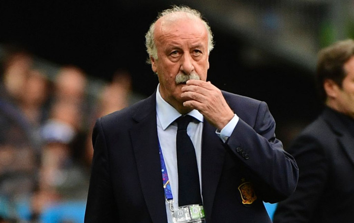 Del Bosque Mundur dari Timnas Spanyol