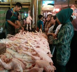 Harga Daging Ayam Mencapai Rp40 ribu per Kg
