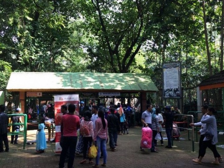 Libur Lebaran, Ragunan Terjunkan 500 Pegawai Tambahan