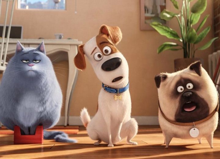 The Secret Life of Pets, Juara Box Office Pekan Ini