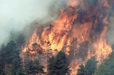 Titik Api Muncul, Kalteng Siaga Kebakaran Hutan