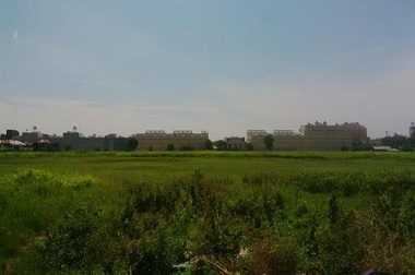 Toeti Minta Pencatatan Aset Lahan di Cengkareng Dihapus