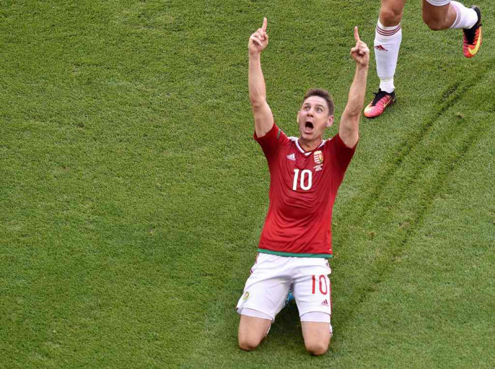 Zoltan Gera Terpilih sebagai Pencetak Gol Terbaik Piala Eropa 2016