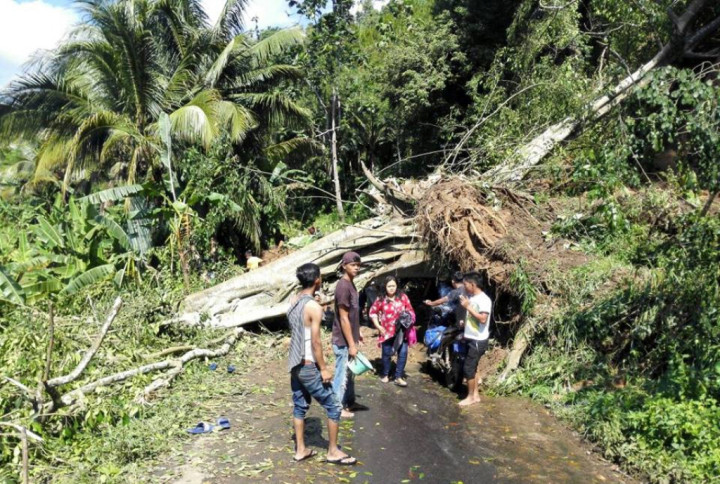Tim Geologi Observasi Pergerakan Tanah di Sukabumi