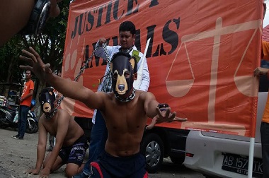 Aparat Didesak Hukum Maksimal Pelaku Perdagangan Satwa