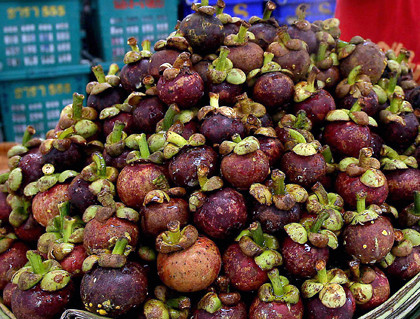 Mangosteen Skin for Typhoid Fever Treatment