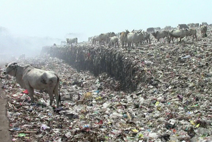 Proyek PLTS Putri Cempo Dipastikan Jalan Tahun Ini