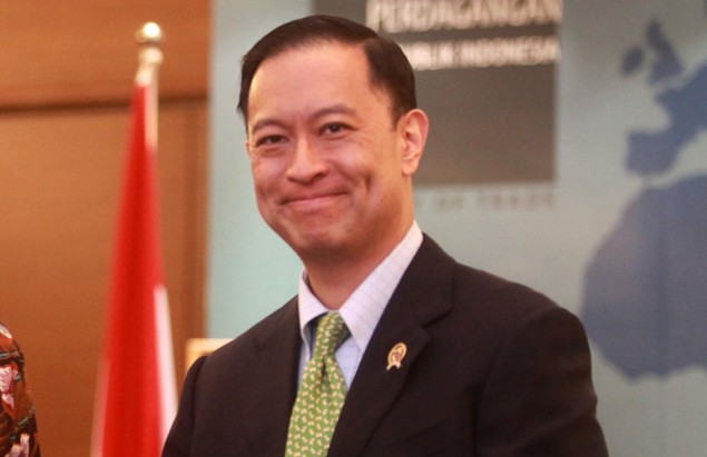 Kepala BKPM Thomas Lembong. (ANTARA FOTO/M Adimaja).