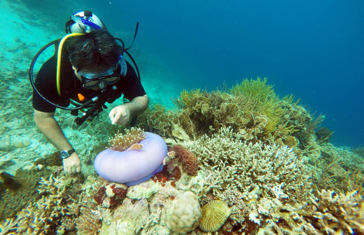 Wonderful Indonesia Tampil di Malaysia <i>International Dive Expo</i> 2016