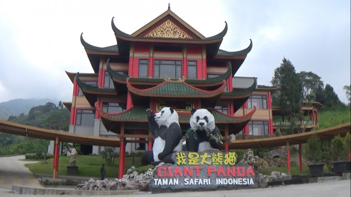 Indonesia Siap Tampung Panda Tiongkok