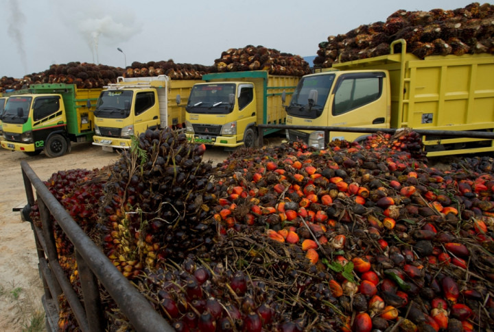 Genjot Transaksi Multilateral, Bappebti Bidik Kenaikan hingga 16%