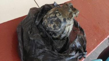 Pakai Kantong Plastik. Bocah Tenteng Granat Aktif ke Polresta Palembang