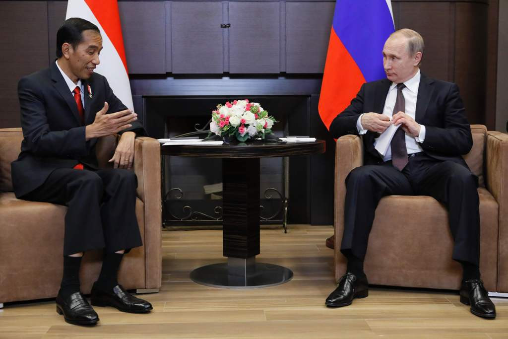 Presiden Jokowi saat bertemu Presiden Vladimir Putin di Sochi (Foto: AFP)
