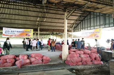 Kementan Targetkan Harga Bawang Merah Rp25 Ribu/Kg