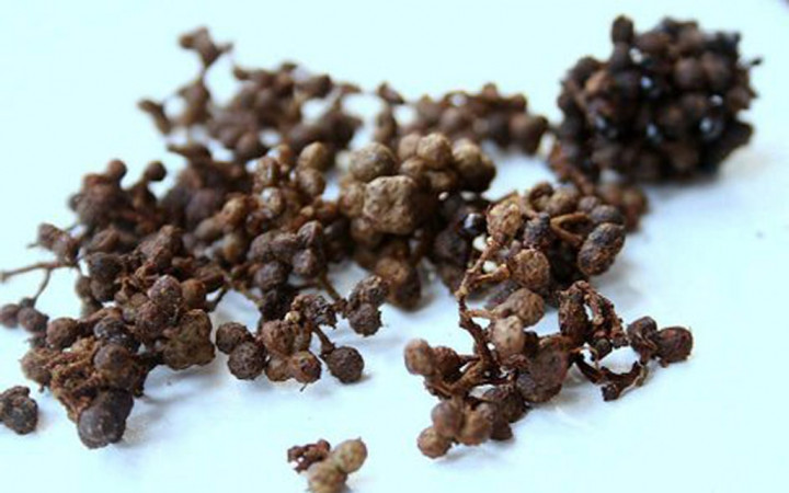 Andaliman, Bumbu 'Ajaib' Kekuatan Kuliner Khas Danau Toba