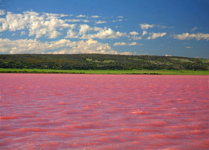 Danau Ini Berubah Warna Pink Setiap Agustus