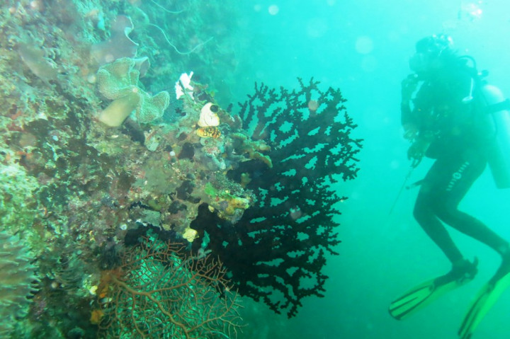 Diver Gathering 10th Years Anniversary di Tulamben