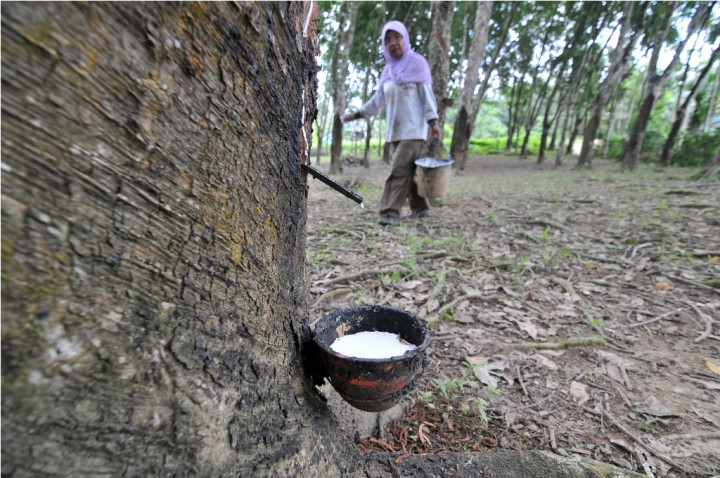 Pembatasan Skema Ekspor Karet Diperpanjang hingga Desember