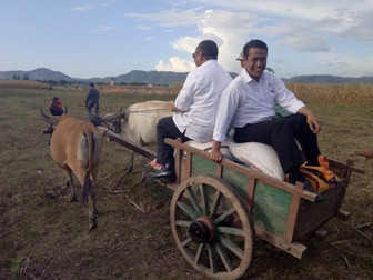 Kementan Ingin Jadikan Gorontalo Lumbung Jagung Nasional