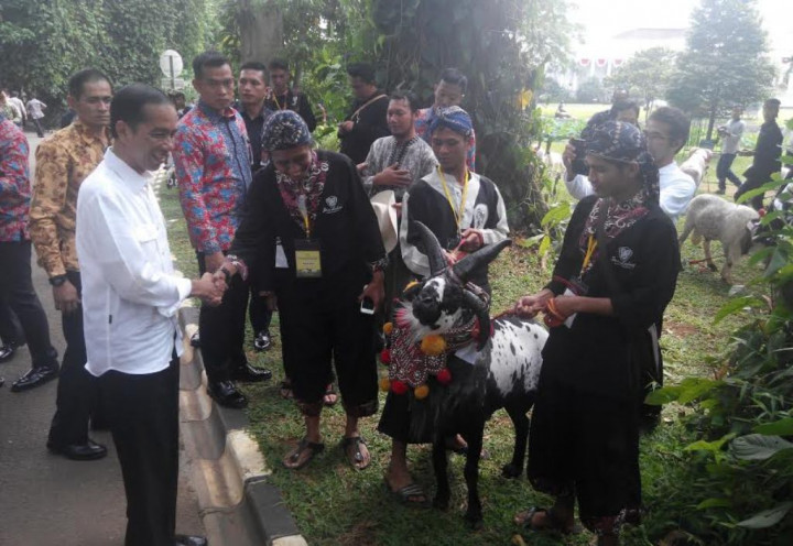 Keliling Istana Bogor, Jokowi Jadi Pemandu Peternak Domba & Kambing