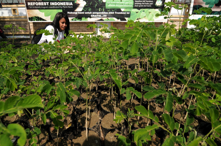  Total Investasi Kerja Sama Kurangi Emisi CO2 RI-Jepang Capai USD150 Juta