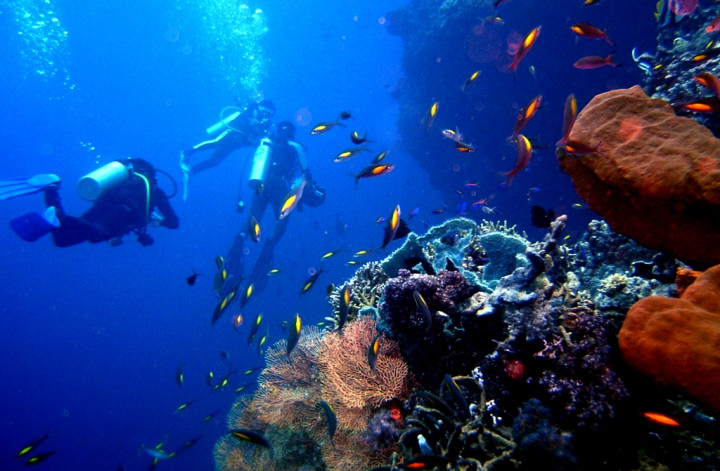 Festival Bahari Pesona Kepulauan Togean 2016 Sajikan Keindahan Laut