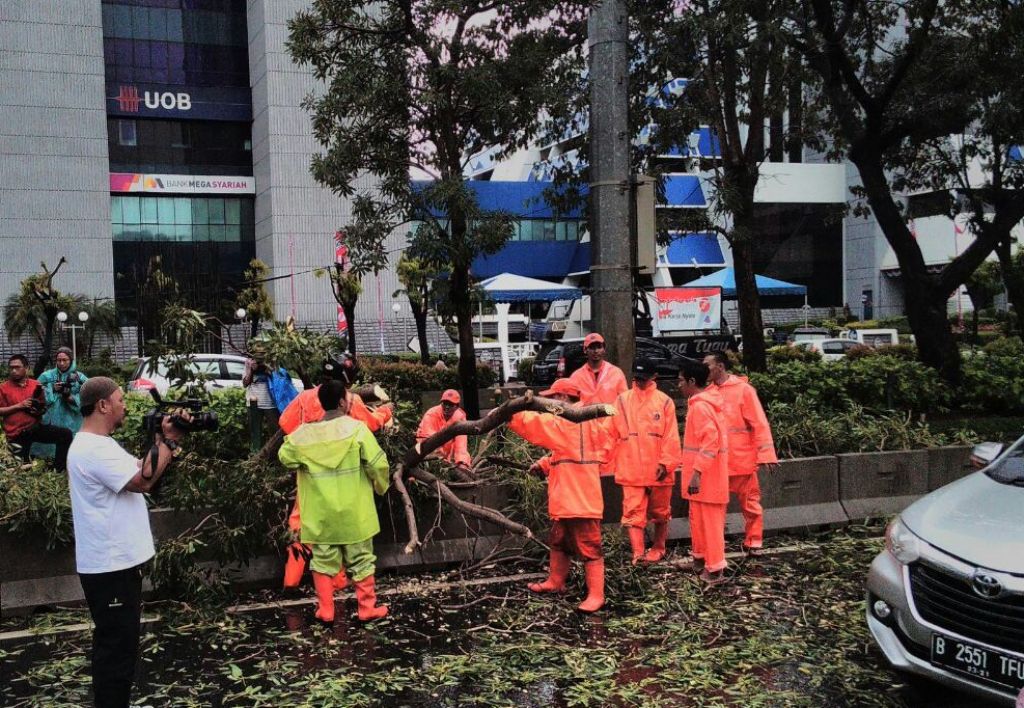 Pohon di Jalan Rasuna Said, Jakarta Selatan--Metrotvnews.com/Nur Azizah