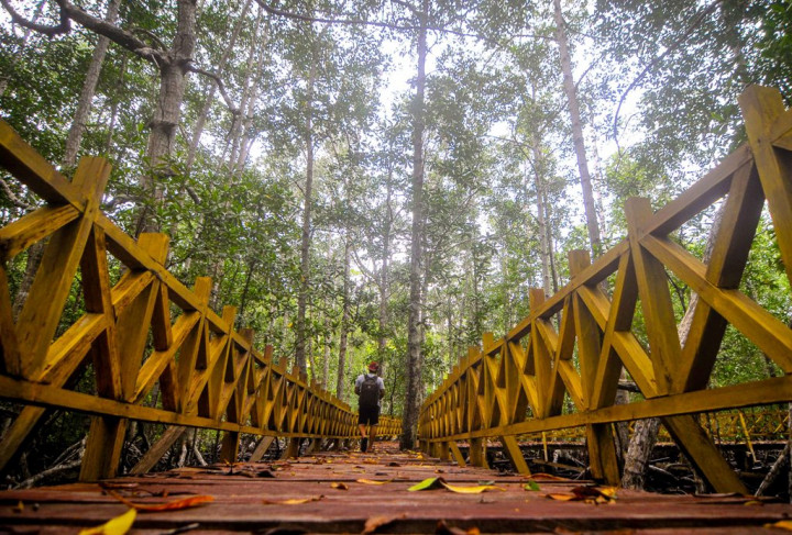 Eksplorasi Kepulauan Togean
