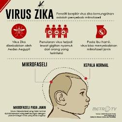 Cegah Virus Zika, Pemkot Yogyakarta Awasi Kunjungan dari Luar Negeri