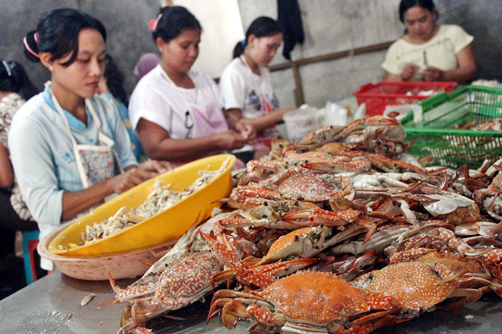 Sejumlah buruh memisahkan daging rajungan (Portunus spp.) dari cangkangnya di salah satu rumah pengolahan di Bonang, Demak, Jawa Tengah, Rabu (21/1). Foto: Antara/Aditya Pradana Putra
