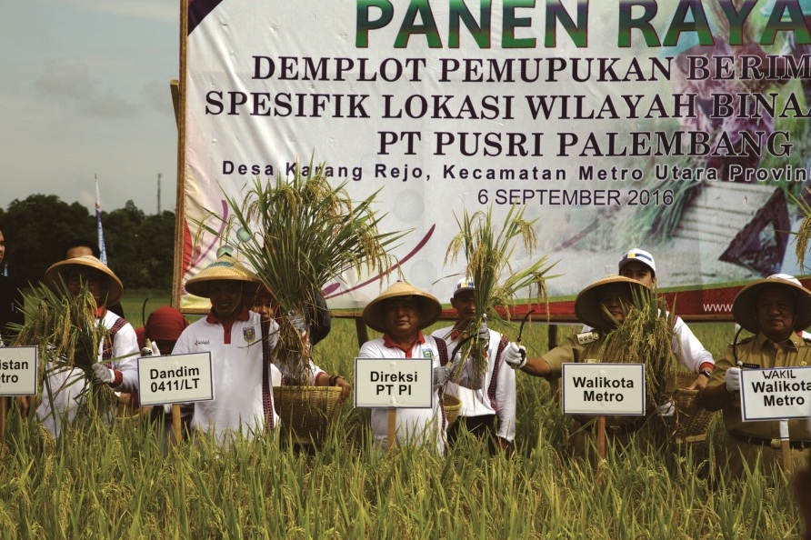 PT Pupuk Indonesia (Persero) melalui anak usahanya PT Pupuk Sriwidjaja (Pusri) Palembang, menggelar Panen Raya GP3K di Metro Utara, Lampung (Foto:Dok.Pupuk Indonesia)