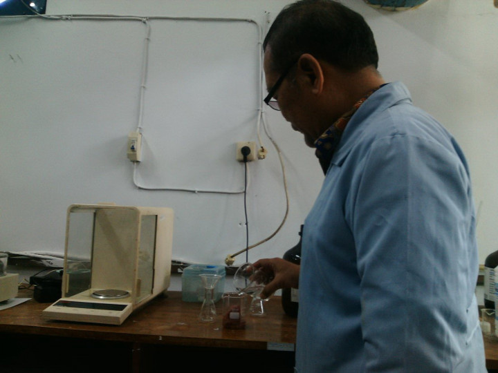 Peneliti Buktikan Tingginya Timbal pada Sapi Pemakan Sampah