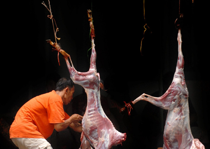 Potong Hewan Kurban Mesti Perhatikan Lingkungan