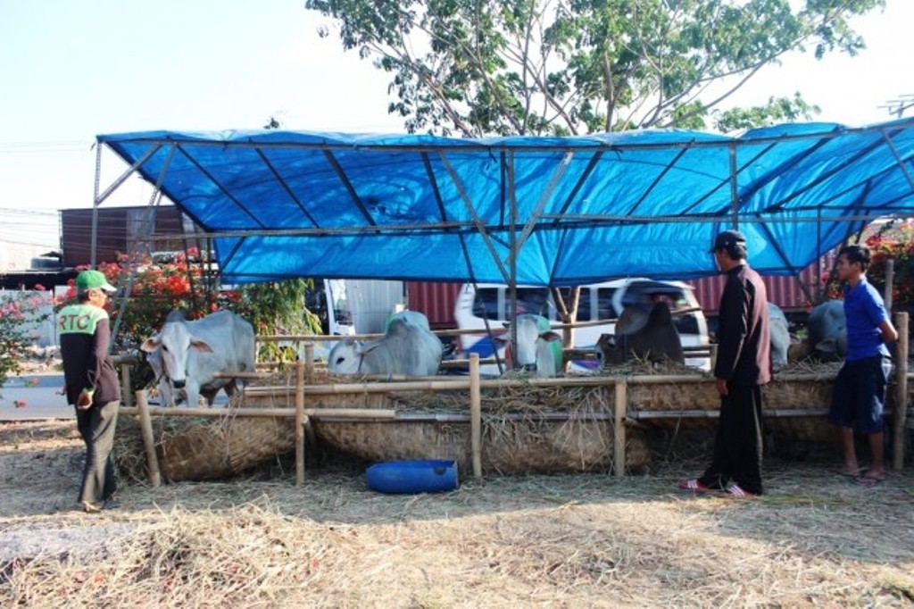 Ilustrasi/Metrotvnews.com