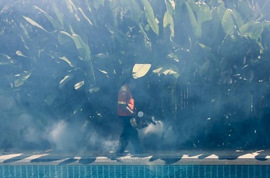 21 Kasus Baru Virus Zika Muncul di Thailand