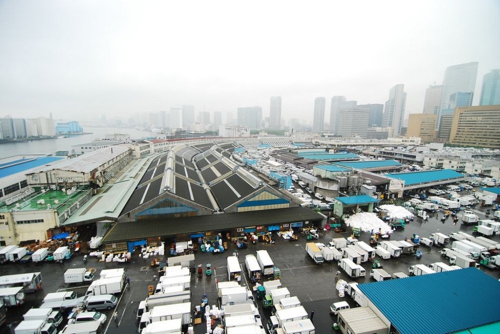 Самый большой маркет. Япония рыбный рынок Цукидзи. Самый большой рыбный рынок в мире. Самый большой рынок Токио. Самый большой базар в мире.