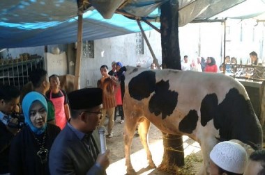 Wali Kota Bandung Imbau Panitia Kurban Tak Gunakan Kantong Plastik