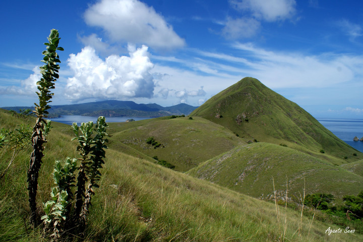 Surga Cantik Itu Terlihat Jelas dari Puncak Pulau Padar