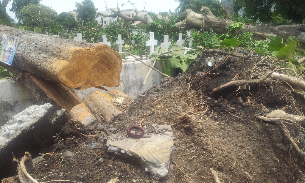 Puluhan makam di Taman Makam Pahlawan, Jalan Senam, Medan, Sumatera Utara, rusak tertimpa pohon (Foto: MTVn/Farida Noris Ritonga)