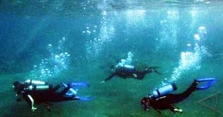 Sediakan Banyak Medali, Cabang Selam jadi Incaran