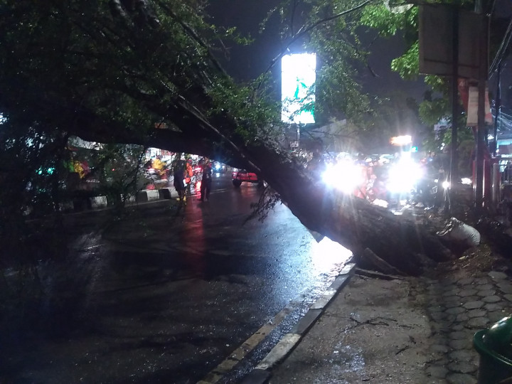 Pohon Tumbang di Cimahi, Arah Bandung Barat Dialihkan